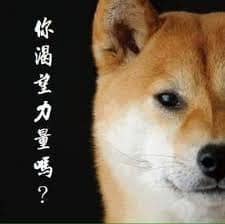 你渴望力量嗎柴犬圖